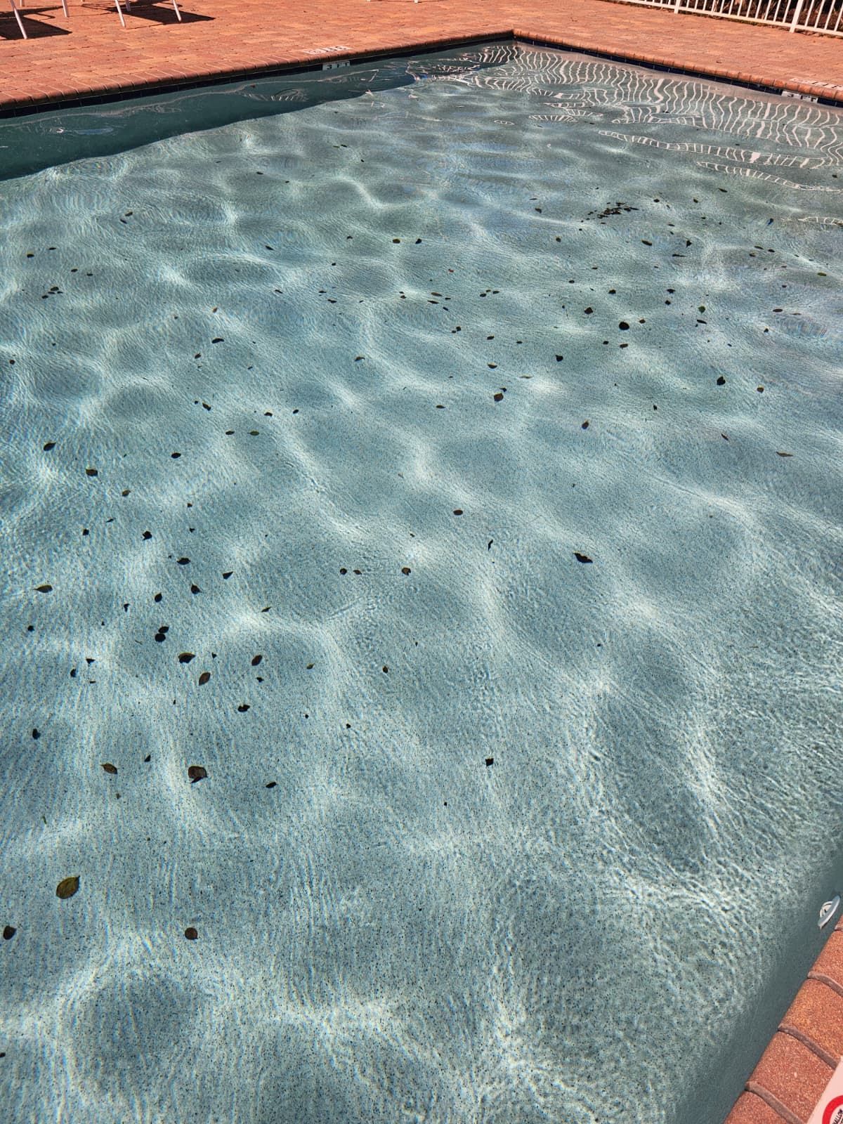 Pool covered in leaves and debris before maintenance